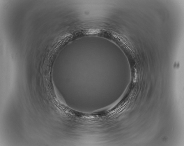 X0000092001441200709061429