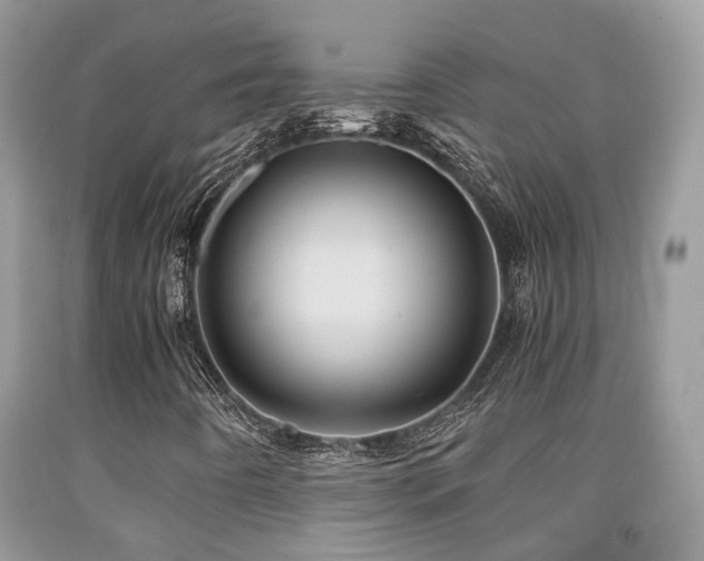 X0000092001442200709061429
