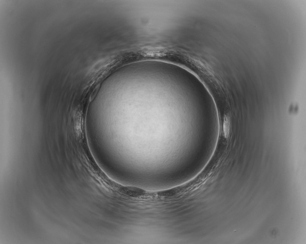 X0000092001444200709061429