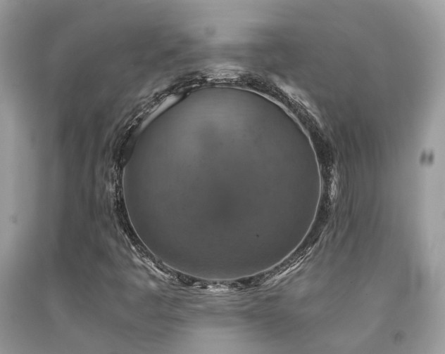 X0000092001445200709061429