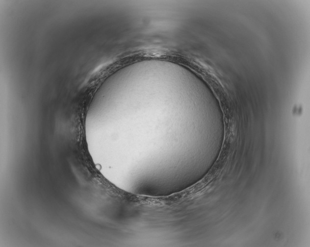 X0000092001446200709061429