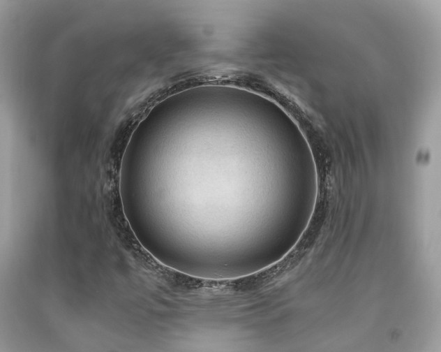 X0000092001447200709061429