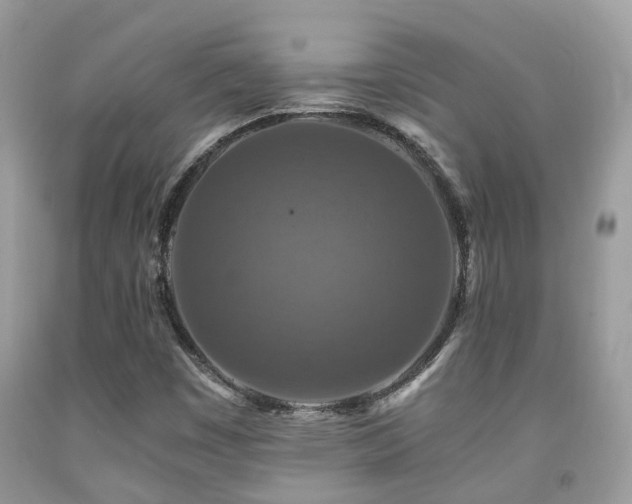 X0000092001449200709061429