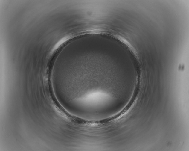 X0000092001450200709061429