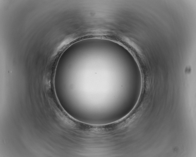 X0000092001451200709061429