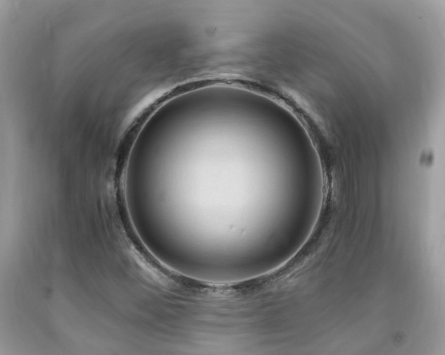 X0000092001452200709061429