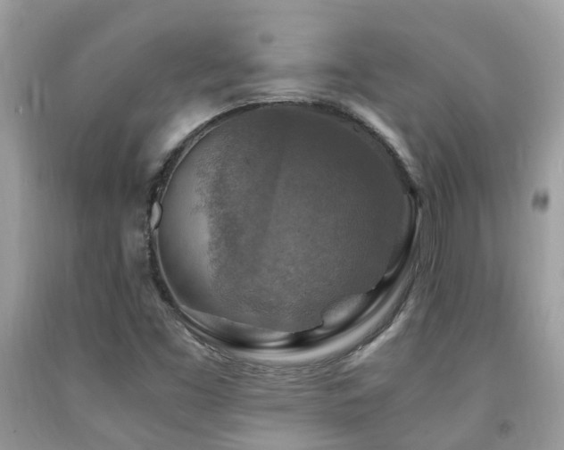 X0000092001453200709061429