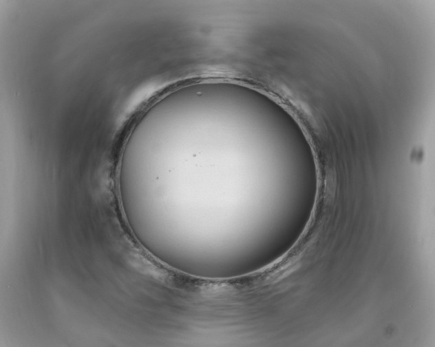 X0000092001454200709061429