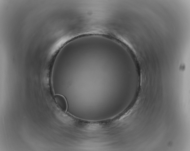 X0000092001455200709061429
