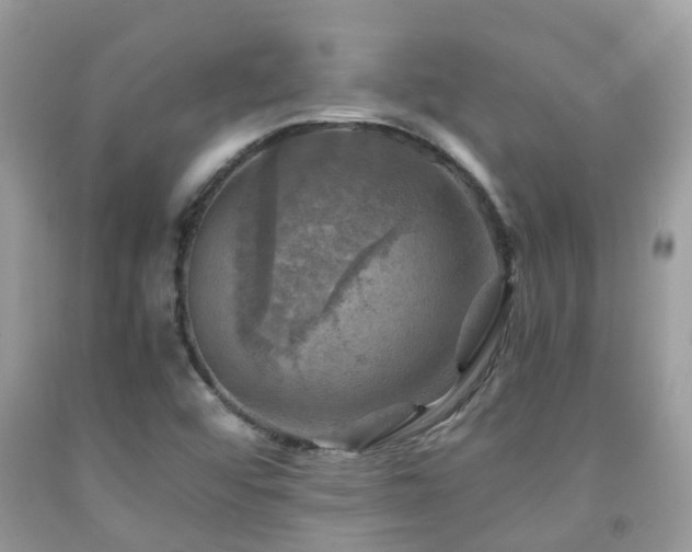X0000092001456200709061429