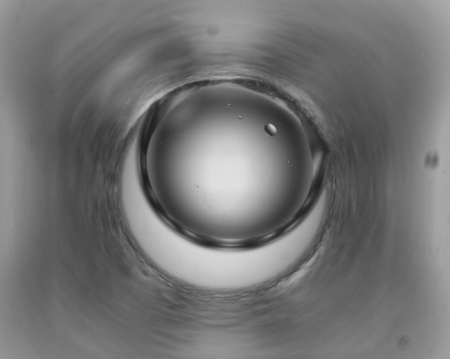 X0000092001457200709061429