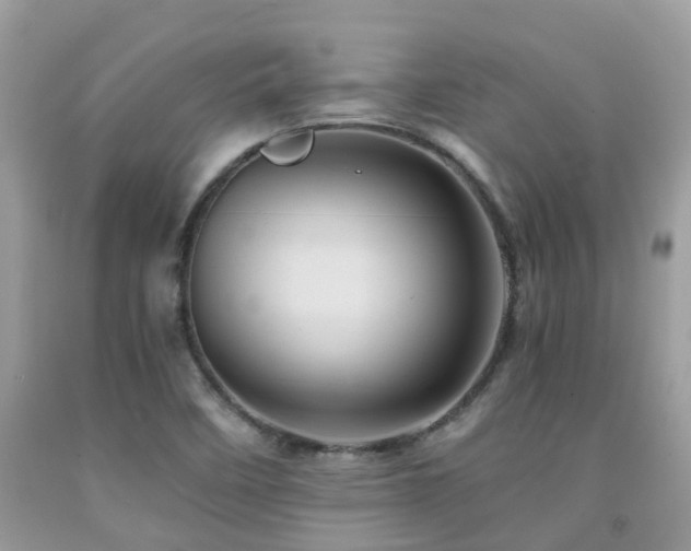 X0000092001458200709061429