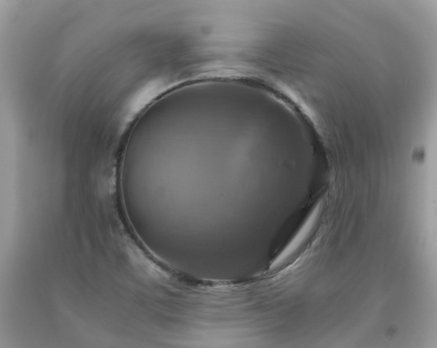 X0000092001459200709061429