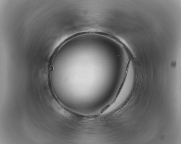 X0000092001460200709061429