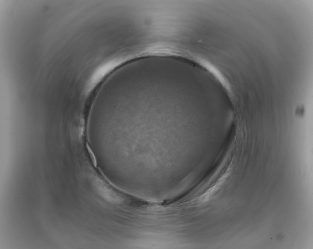 X0000092001461200709061429