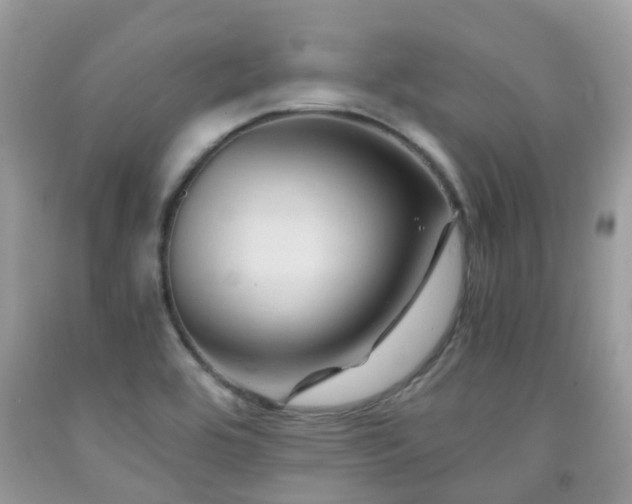X0000092001464200709061429