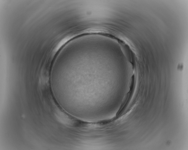 X0000092001465200709061429
