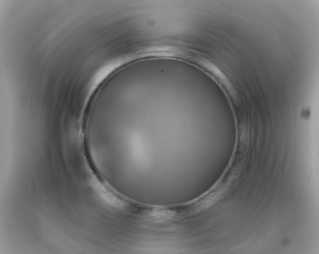X0000092001466200709061428
