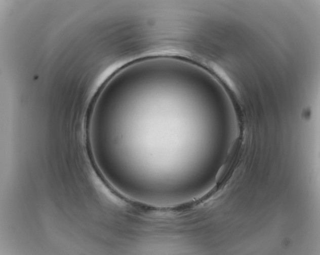 X0000092001468200709061428