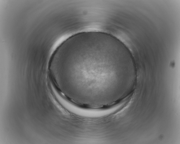 X0000092001469200709061428