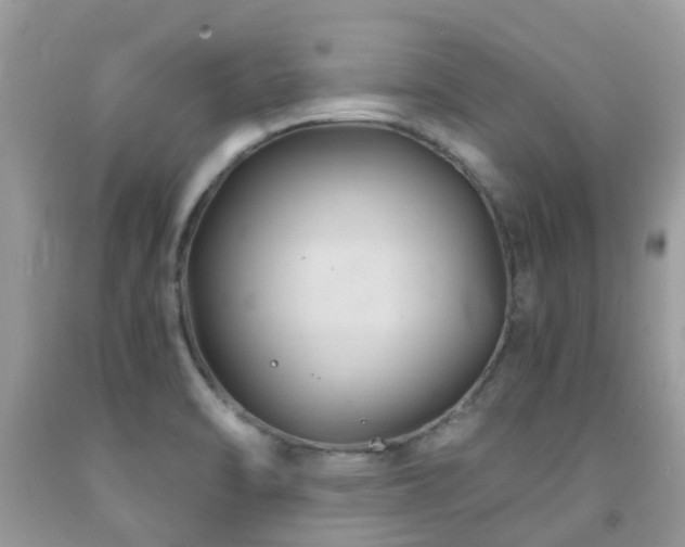 X0000092001470200709061428