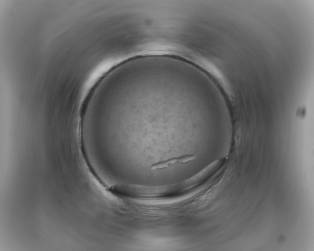 X0000092001472200709061428