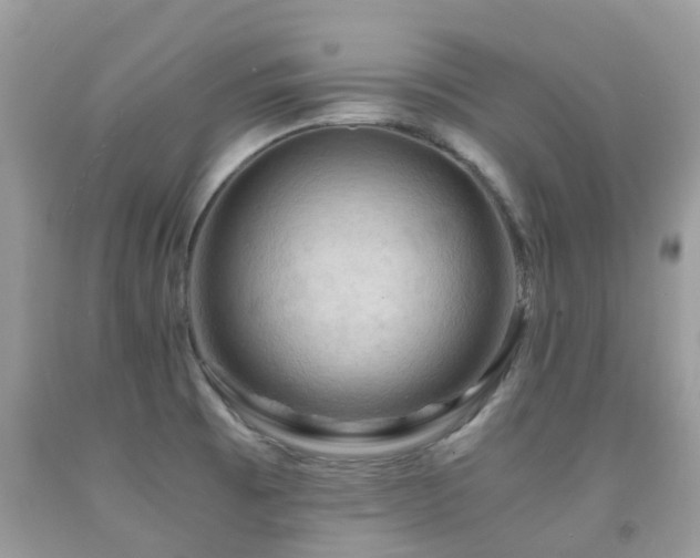 X0000092001473200709061428