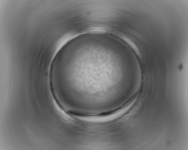 X0000092001475200709061428