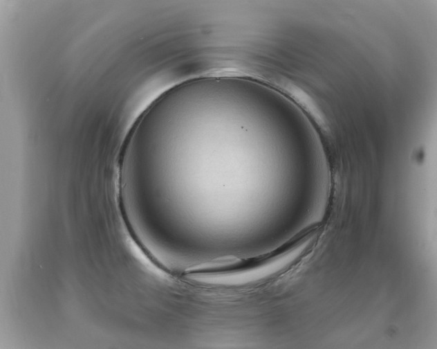 X0000092001476200709061428
