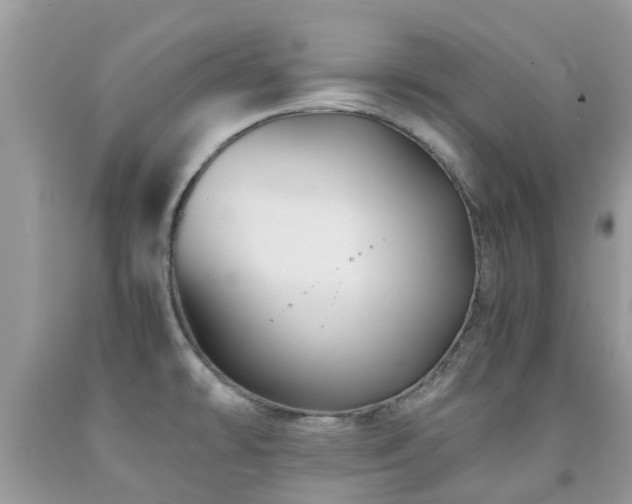 X0000092001478200709061428