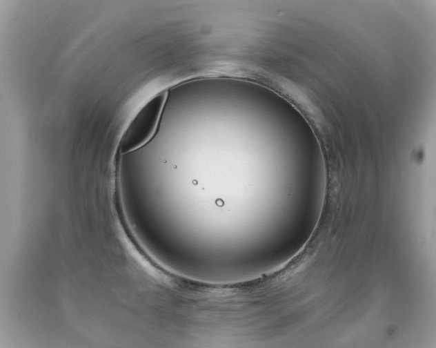 X0000092001479200709061428