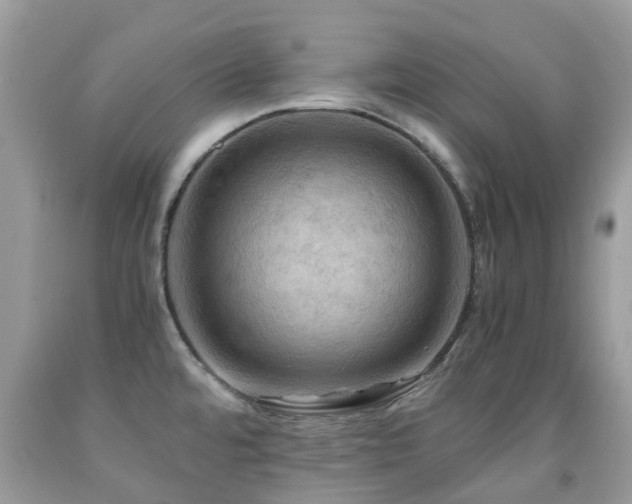 X0000092001480200709061428