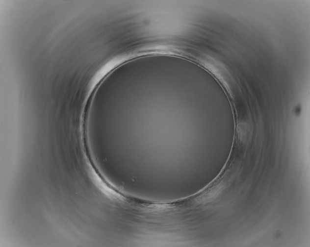 X0000092001482200709061428