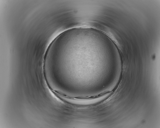 X0000092001484200709061428