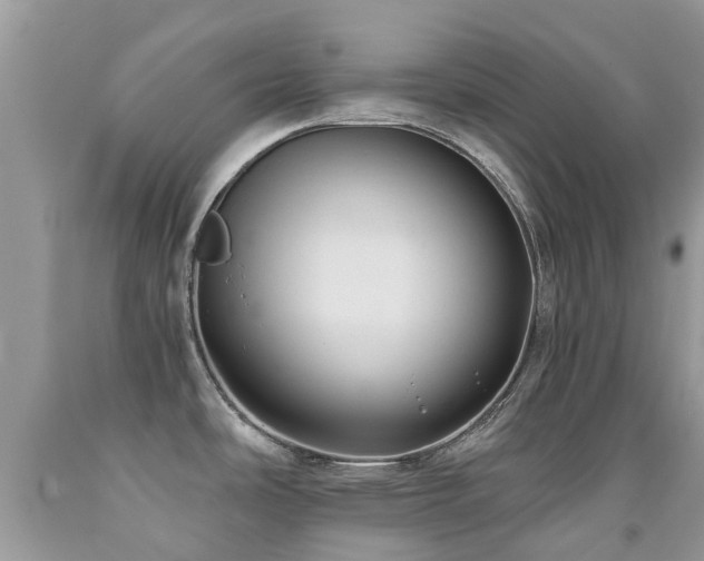 X0000092001486200709061428