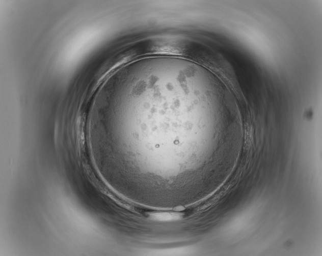 X0000092001487200709061428