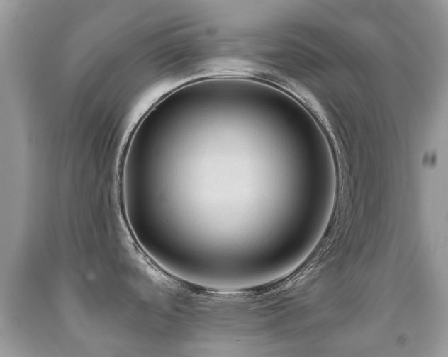 X0000092001488200709061428