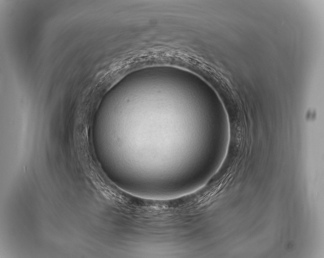 X0000092001489200709061428