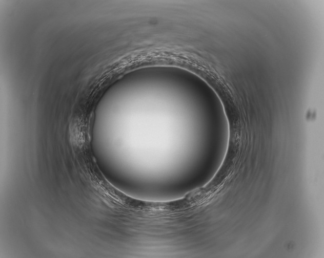 X0000092001490200709061428