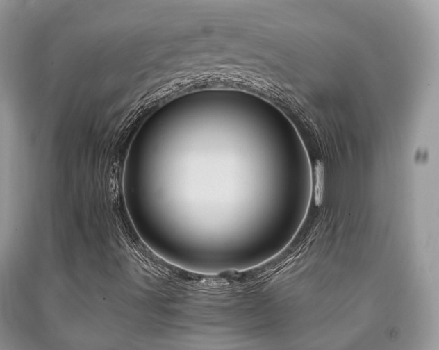 X0000092001491200709061428