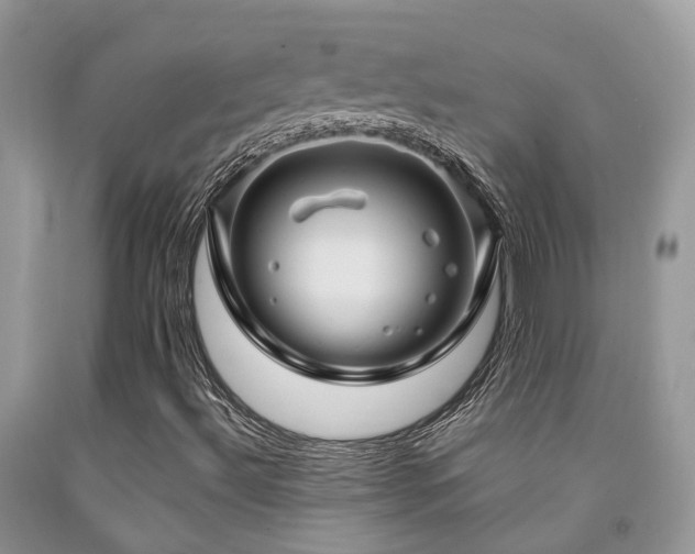 X0000092001492200709061428