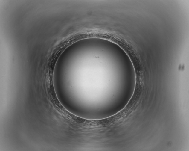 X0000092001493200709061428