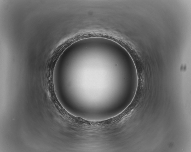 X0000092001494200709061428