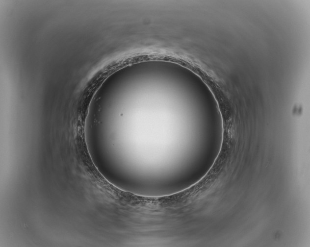 X0000092001495200709061428