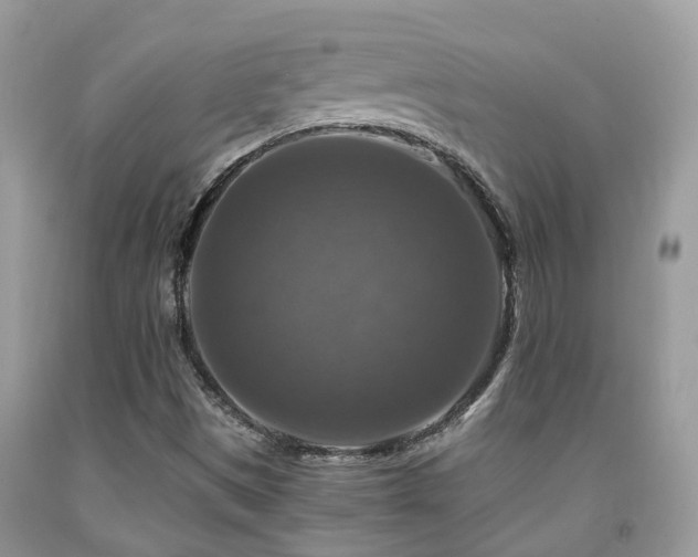 X0000092001497200709061428