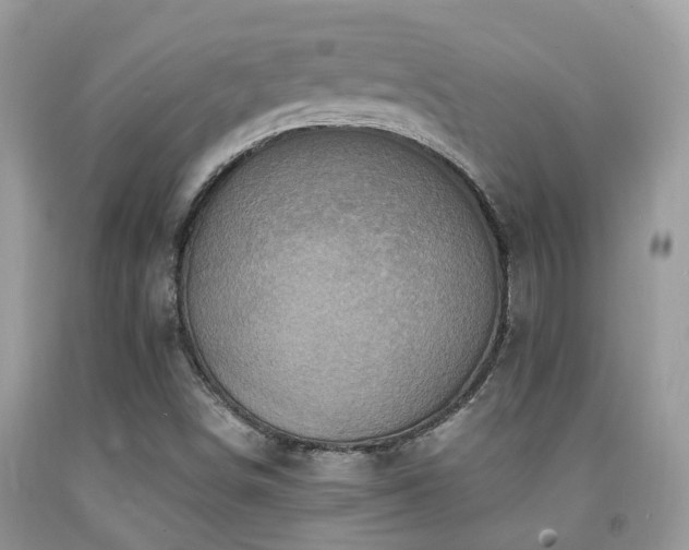 X0000092001498200709061428