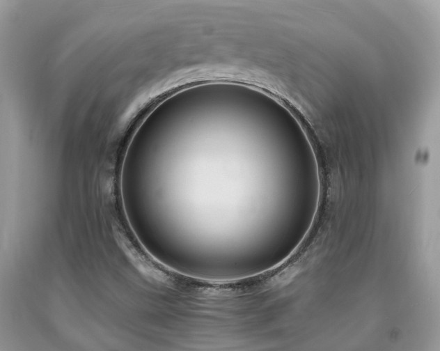 X0000092001499200709061428