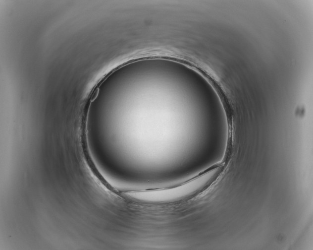 X0000092001500200709061428