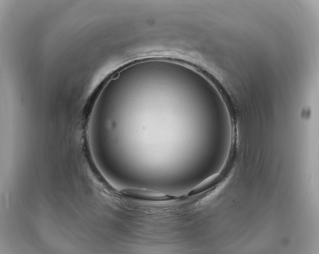 X0000092001501200709061428