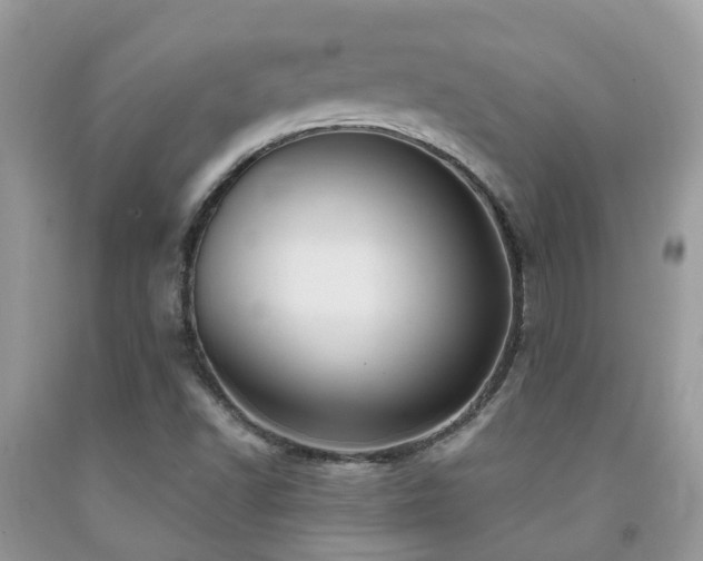 X0000092001502200709061428